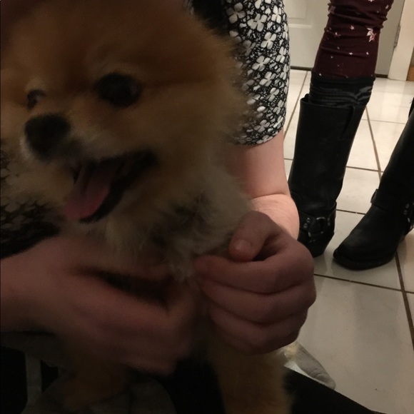 Meet your Posher, Paige - Picture 1 of 1